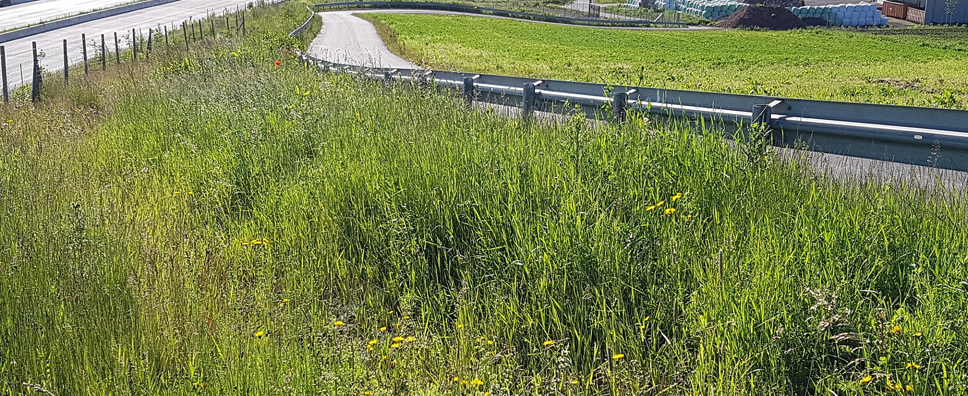 002--20160531_080138.jpg