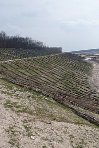 P1000050