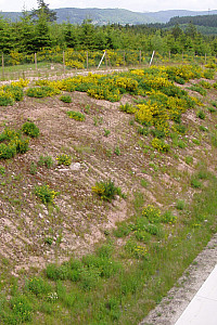 P6030053