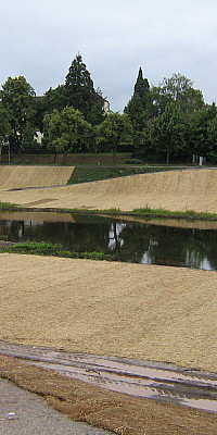 IMG 0817
