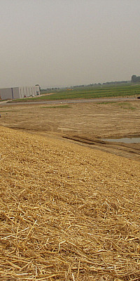 P5290090