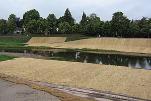 IMG 0817