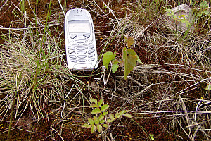 P6030046