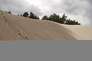 P7080161