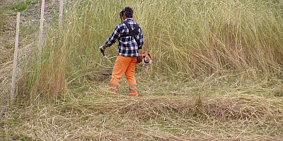 P7250021