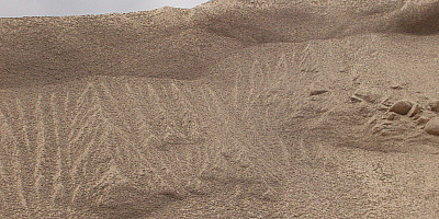 P7080169